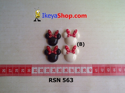 rsn 563  large2